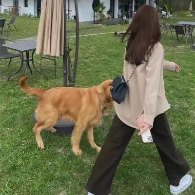 西环的故事